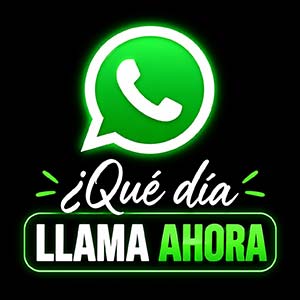 whatsapp amadeus