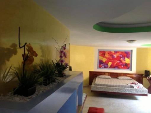 Habitaciones de Amadeus Palmira