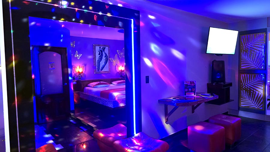 Habitaciones decoradas en Apartahotel Amadeus